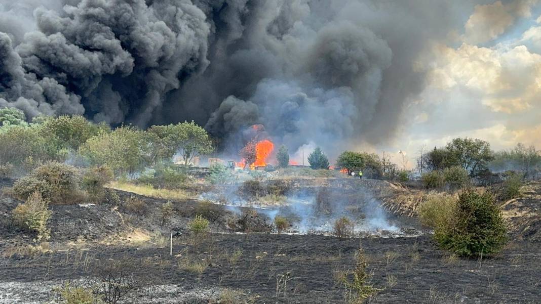 Tekirdağ'da anız yangını fabrikaya sıçradı 3